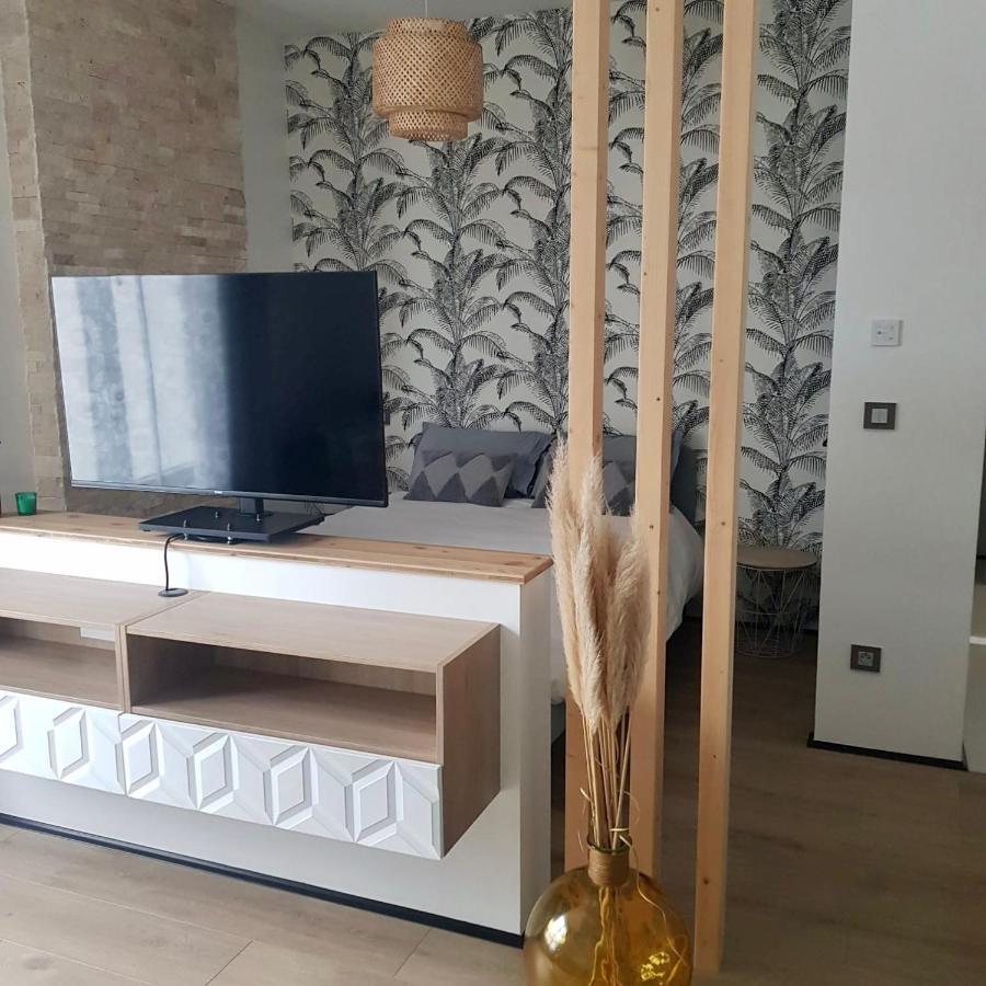 Studio Calme-Equipements Haut De Gamme Sarreguemines Exteriör bild